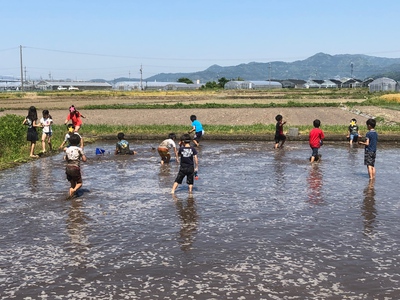 どろんこ遊び