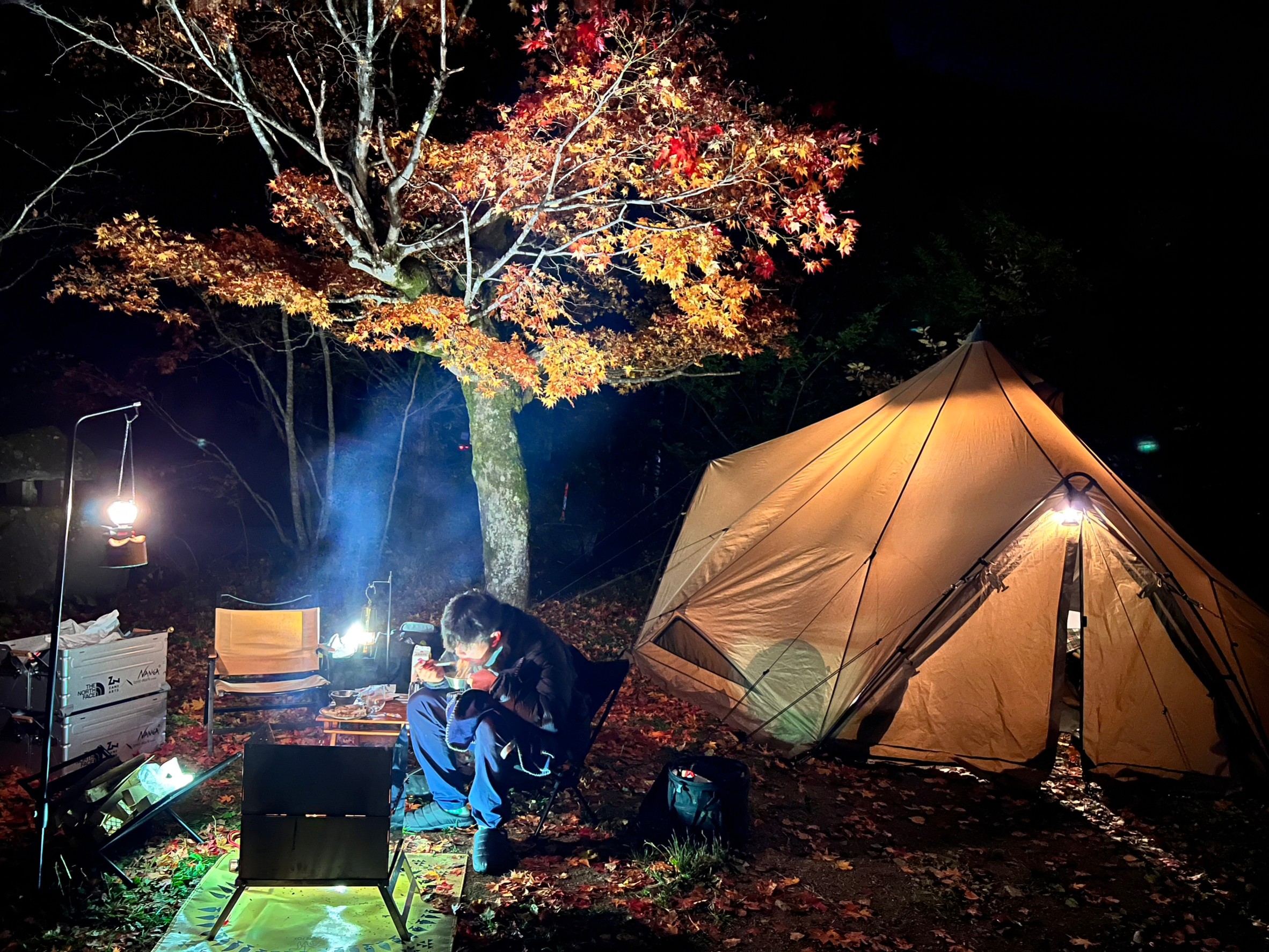 ライトアップされた紅葉とテント